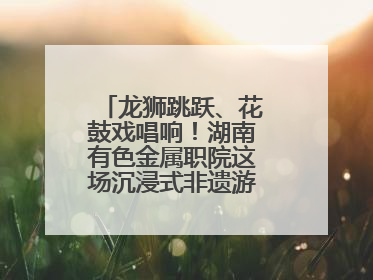 龙狮跳跃、花鼓戏唱响！湖南有色金属职院这场沉浸式非遗游园活动很带感