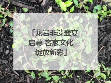 龙岩非遗盛宴启幕 客家文化绽放新彩