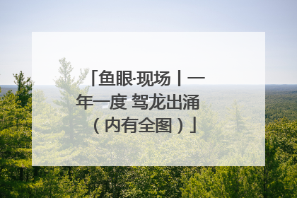 鱼眼·现场丨一年一度 驾龙出涌（内有全图）