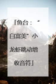 鱼台：“白富美”小龙虾跳动增收音符