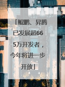 鲲鹏、昇腾已发展超665万开发者，今年将进一步开放