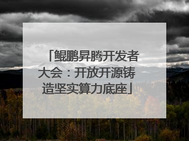 鲲鹏昇腾开发者大会：开放开源铸造坚实算力底座