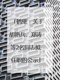 鹤壁：关于胡艳兵、郑涛等2名同志拟任职的公示