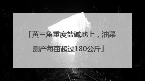 黄三角重度盐碱地上，油菜测产每亩超过180公斤