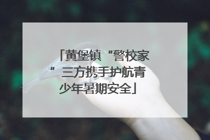 黄堡镇“警校家”三方携手护航青少年暑期安全