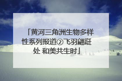 黄河三角洲生物多样性系列报道②飞羽翩跹处 和美共生时