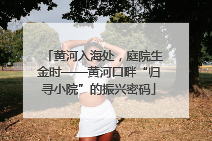 黄河入海处，庭院生金时——黄河口畔“归寻小院”的振兴密码