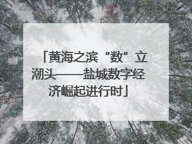 黄海之滨“数”立潮头——盐城数字经济崛起进行时