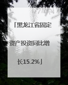 黑龙江省固定资产投资同比增长15.2%