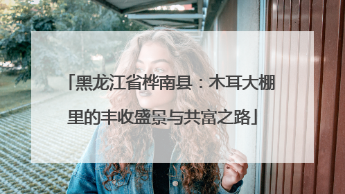 黑龙江省桦南县：木耳大棚里的丰收盛景与共富之路