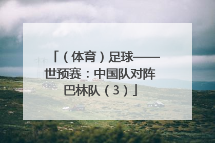 （体育）足球——世预赛：中国队对阵巴林队（3）