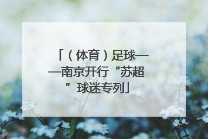 （体育）足球——南京开行“苏超”球迷专列