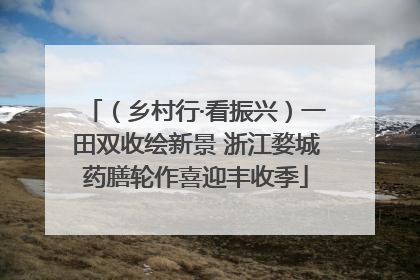 （乡村行·看振兴）一田双收绘新景 浙江婺城药膳轮作喜迎丰收季