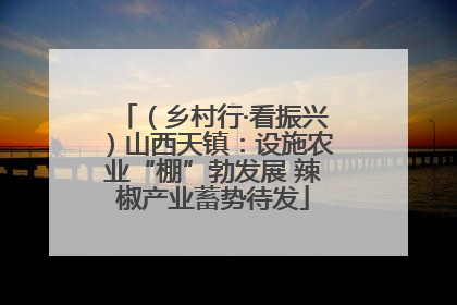 （乡村行·看振兴）山西天镇：设施农业“棚”勃发展 辣椒产业蓄势待发