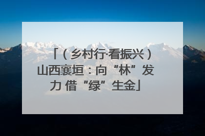 （乡村行·看振兴）山西襄垣：向“林”发力 借“绿”生金