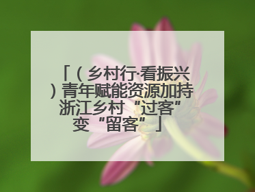 （乡村行·看振兴）青年赋能资源加持 浙江乡村“过客”变“留客”