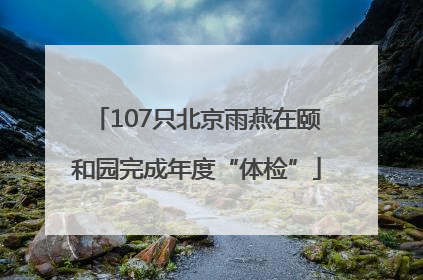 107只北京雨燕在颐和园完成年度“体检”