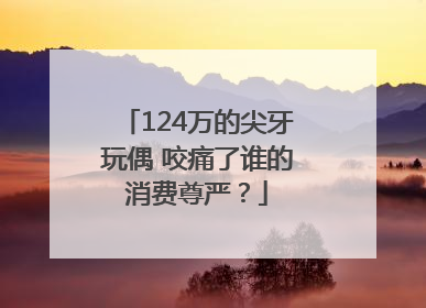 124万的尖牙玩偶 咬痛了谁的消费尊严？