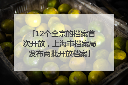 12个全宗的档案首次开放，上海市档案局发布两批开放档案