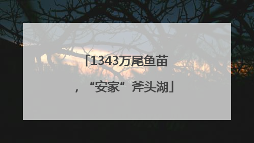 1343万尾鱼苗，“安家”斧头湖