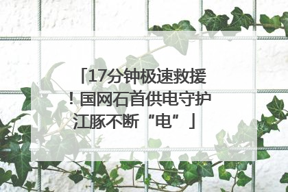 17分钟极速救援！国网石首供电守护江豚不断“电”