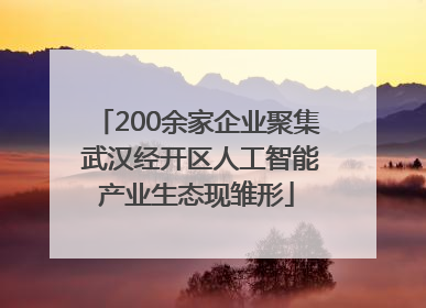 200余家企业聚集 武汉经开区人工智能产业生态现雏形