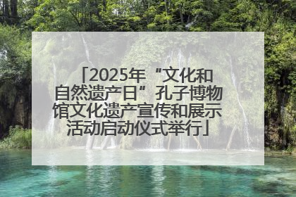 2025年“文化和自然遗产日”孔子博物馆文化遗产宣传和展示活动启动仪式举行