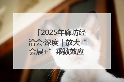 2025年廊坊经洽会·深度｜放大“会展+”乘数效应 打造消费新场景