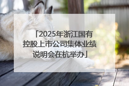 2025年浙江国有控股上市公司集体业绩说明会在杭举办