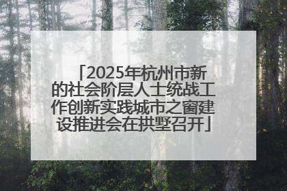 2025年杭州市新的社会阶层人士统战工作创新实践城市之窗建设推进会在拱墅召开