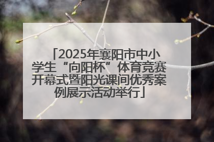 2025年襄阳市中小学生“向阳杯”体育竞赛开幕式暨阳光课间优秀案例展示活动举行