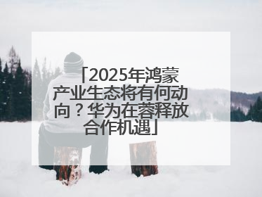 2025年鸿蒙产业生态将有何动向？华为在蓉释放合作机遇
