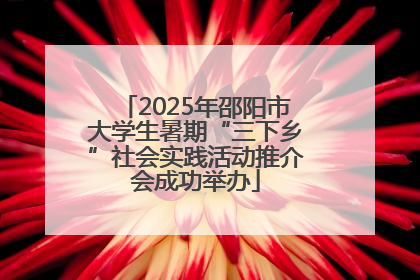 2025年邵阳市大学生暑期“三下乡”社会实践活动推介会成功举办