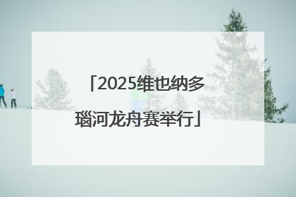 2025维也纳多瑙河龙舟赛举行