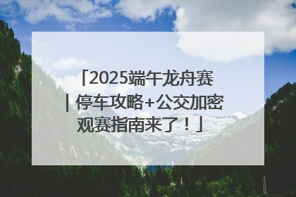 2025端午龙舟赛｜停车攻略+公交加密 观赛指南来了！