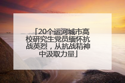 20个运河城市高校研究生党员缅怀抗战英烈，从抗战精神中汲取力量
