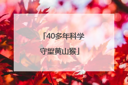 40多年科学守望黄山猴