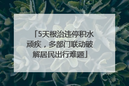 5天根治违停积水顽疾，多部门联动破解居民出行难题
