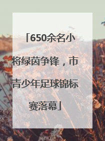 650余名小将绿茵争锋，市青少年足球锦标赛落幕