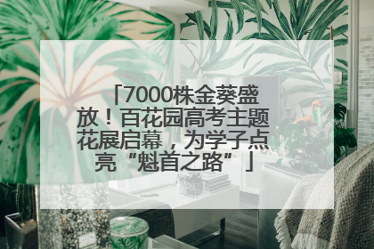 7000株金葵盛放！百花园高考主题花展启幕，为学子点亮“魁首之路”
