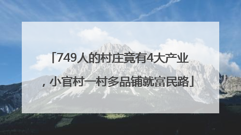 749人的村庄竟有4大产业，小官村一村多品铺就富民路