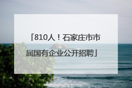 810人！石家庄市市属国有企业公开招聘