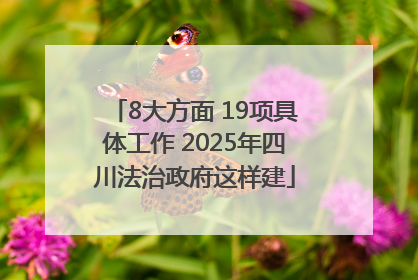 8大方面 19项具体工作 2025年四川法治政府这样建