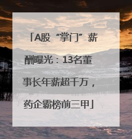 A股“掌门”薪酬曝光：13名董事长年薪超千万，药企霸榜前三甲