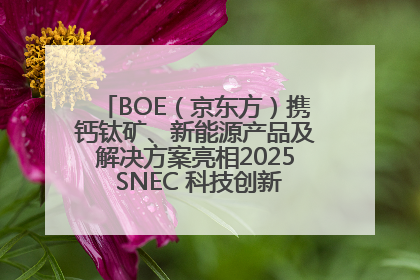 BOE（京东方）携钙钛矿、新能源产品及解决方案亮相2025 SNEC 科技创新赋能行业绿色发展