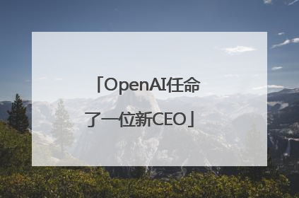 OpenAI任命了一位新CEO